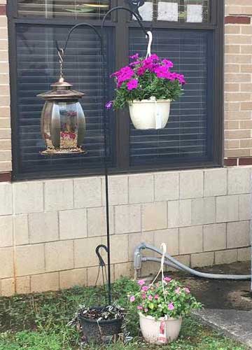 photo of Stagecoach Elementary garden flowers in hanging basket